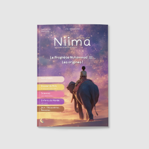 #33 Le Prophète Muhammad ﷺ ... Les origines !