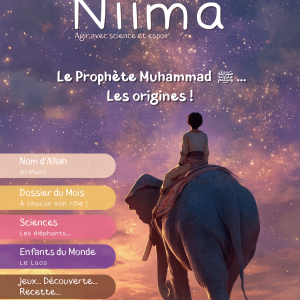 #33 Le Prophète Muhammad ﷺ ... Les origines !