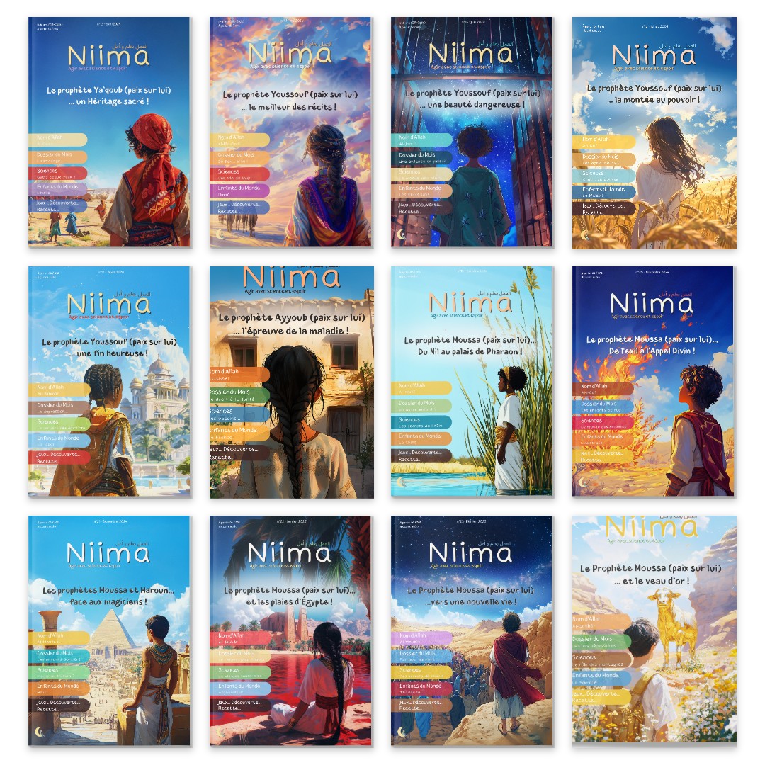 Les 12 couvertures de la collection Niima 2024, numéros 13 à 24